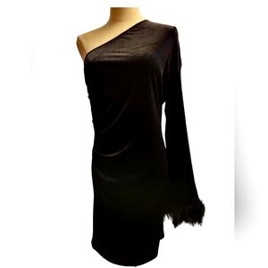 NWT Pretty Garden One Shoulder Velvet Dress